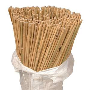 Canes de piquets en bambou écologiques à prix bon marché | Piquets en bambou en gros pour jardin fabriqués au Vietnam par Eco2go Vietnam - Product Image 6