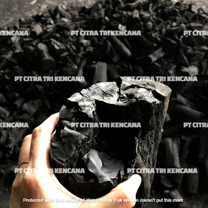 Bolsa de embalaje para producción de carbón vegetal, barbacoa de madera dura, barbacoa, parrilla de barbacoa, el mejor en maheburg, Isla de Marruecos, África Oriental - Product Image 6