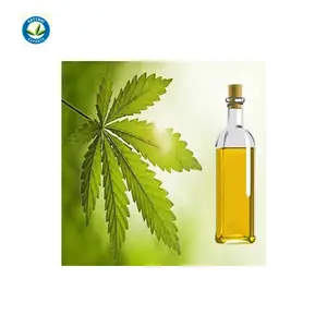 Pure Premium Biologische Berkenolie Voor Huidverzorging En Aromatherapie | Stoomgedestilleerde Betula Lenta Etherische Olie-Groothandel Deals