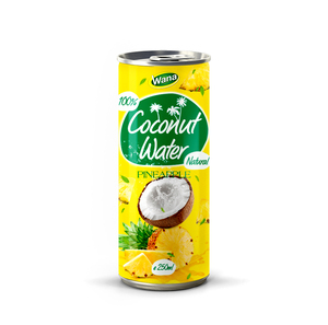 แอปเปิ้ลมะม่วงรสชาดธรรมชาติทำจากมะพร้าวฆ่าเชื้อ100% กระป๋องขนาด250มล. ฉลากตามต้องการ - Product Image 3