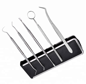 Kit d'hygiène dentaire en acier inoxydable avec étui en cuir, 5 pièces - Product Image 1