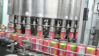 VINUT 330ml Fruitsap Sapdrank Groothandel Export Drankleverancier