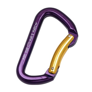 Mosquetón de Escalada en Forma de D con Cierre de Seguridad de 28KN - Product Image 1