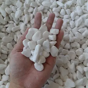자연적인 자갈 돌 조경 돌 수족관을 위한 백색 색깔 자갈 돌