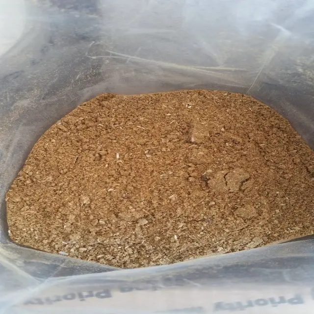 Corn Gluten Meal 60% for fish feed