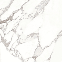 Azulejos de Porcelana Comerciales Modernos Tipo Ladrillo Refractario para Piso y Pared, 600x600 800x800, Grado AAA, en Oferta