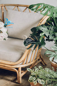 Silla de descanso de ratán, gran oferta - Product Image 4