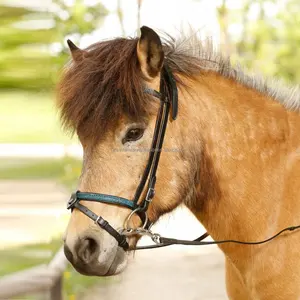 คุณภาพสูง-หนังม้าBridle-ออกแบบมาเป็นพิเศษสำหรับม้าไอซ์แลนด์ - Product Image 1