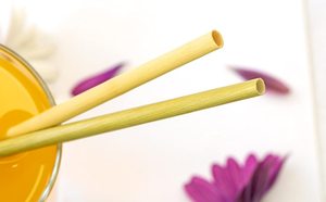 Precio barato 100% pajitas de hierba lisas naturales | Pajitas para beber hierba | Juego de pajitas de hierba de Eco2go Vietnam - Product Image 3