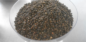 Caliente Vietnam pimienta negra secado en espiral 550GR/L máquina limpia 50kg Paquete 2 años vida útil ASTA mejor calidad (Tracy Hanfimex) - Product Image 2