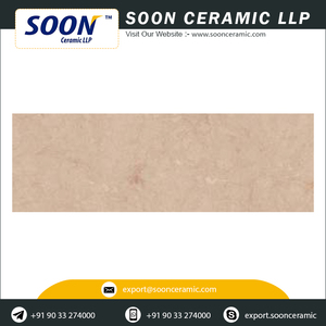 Flower Design Porcelain Wall Tiles Digital Matte 250x750mm Outdoor Non-Slip - Product Image 4