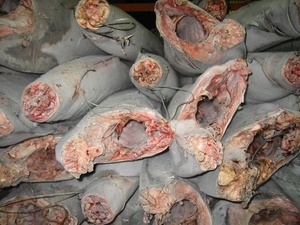 El arroz es muy bonito, El itaminas se encuentra en el eawood, Rozen tripe Arlin - Product Image 4