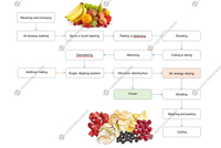 Professionele Leverancier Voor Fruit Droger Hoge Kwaliteit Gedroogd Fruit Productielijn