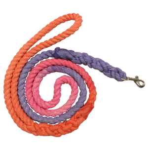 Harnais pour chien en coton lourd multicolore Ombre de luxe laisse d'entraînement en corde de chat personnalisable avec décoration en dentelle nouveaux accessoires pour animaux de compagnie - Product Image 4