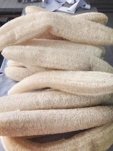 Luffa brut/Luffa, Fiber, 5 pièces - Product Image 4