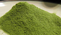 Suplemen Penurun Berat Badan Nutrial OEM, Bubuk Daun Moringa Oleifera Pelangsing Ekstrim, Suplemen Penurun Berat Badan