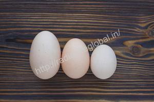 Œufs de poule - Product Image 3