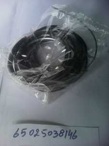 DAEWOO BUS REPUESTOS 65025038146 Ring Piston Auto Parts - Product Image 2