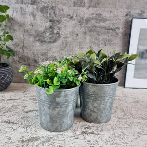 Maceta Doble de Metal Galvanizado con Asa de Transporte, Macetas Rústicas para Hierbas y Flores de Interior y Exterior, Venta al por Mayor - Product Image 3
