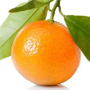 Sweet <b>Fresh</b> Mandarin Orange/<b>Fresh</b> Orange,Naval Orange,Valencia Oranges - Product Image 5
