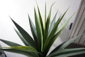 Precio de fábrica Planta de <span class=keywords><strong>agave</strong></span> artificial ornamental Decoración de arte minimalista de plástico para oficina u hotel para diseño de interiores - Product Image 6