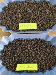 Poivre noir en grains de 2 mm, prix d'usine, herbe séchée, épice en forme entière, brute, traitée, certifiée JAS, casher, IMO - Product Image 5