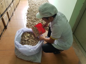 Polvo de goma de BENZOIN STYRAX orgánico 100%, de VIETNAM/Ms.Thi Nguyen + 84 988 872 713 - Product Image 2