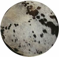 Good Quality 4" 6" 8" 10" Hand Percussion Wood Shell Handmade Goat Skin Drum Heads 22" Custom Logo