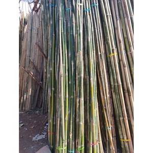 Varillas y Postes de Bambú al por Mayor para Construcción y Hogar ([Ws0084587176063] - Product Image 3