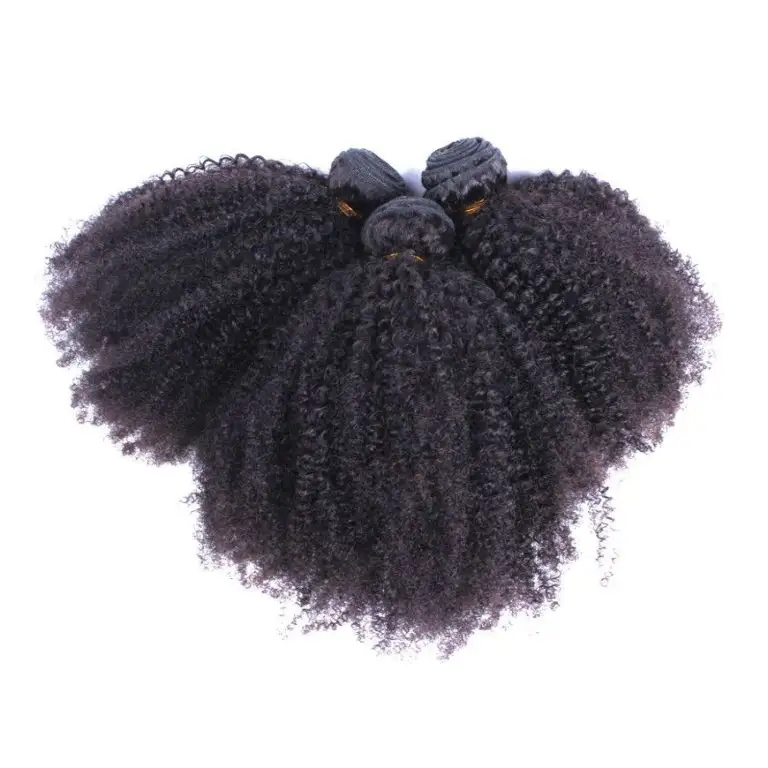 Cheveux Afro Crepus Boucles Tisser Lot de Couleurs de Cheveux Naturels