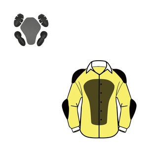 Chemise de moto de course en flanelle de coton de meilleure qualité Conception personnalisable pour hommes avec manches longues Protecteurs souples amovibles Imprimer - Product Image 2