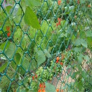 PVC Nhựa Lưới Làm Vườn Và Hàng Rào Net Ngà Màu Sắc - Product Image 6