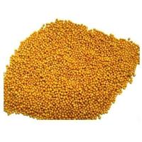 Graines de moutarde jaune séchées AD de haute qualité 25kg, pour transformation, prix bas, assaisonnement de cuisine, marque BD personnalisée, directement de l'usine