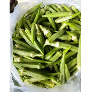 Okra légumes frais à la main pour femmes, emballage 100%, fibre biologique de qualité supérieure, exportation au Vietnam, en boîte