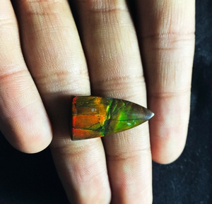 Cabochonsสามเหลี่ยมAmmoliteแคนาดาธรรมชาติอัญมณีหลวมจากอินเดีย - Product Image 3