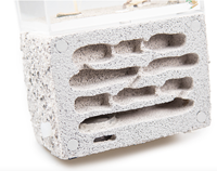 Formicarium d'observation classique AD2 en plastique écologique pour l'élevage des fourmis, Nid de fourmis, Terrarium pour fourmis, 14x8.5x18.5cm