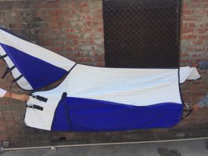 ออสเตรเลียม้าบินแผ่น/ออสเตรเลียม้าฤดูร้อนแผ่น/ออสเตรเลียม้าพรม - Product Image 2