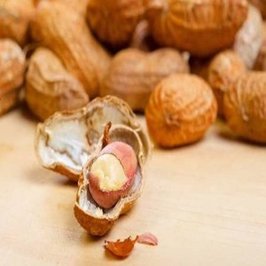 BUY CHEAP WASHED PEANUT in SHELL 9/11,Peanuts in Shell Raw Peanuts Kernels 9/11 Export Origin Manufacturer Supply Best Promotion - Product Image 1