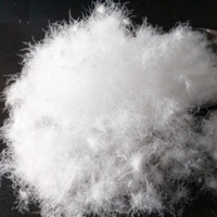 Vente en gros de duvet de canard blanc 90/10, norme vietnamienne