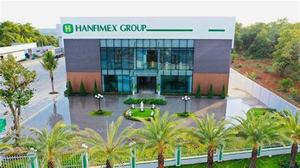 Cashew <b>nuts</b> <b>kernel</b> w240 w320 w450 at best price HANFIMEX FACTORY 0084327324400 - Product Image 6