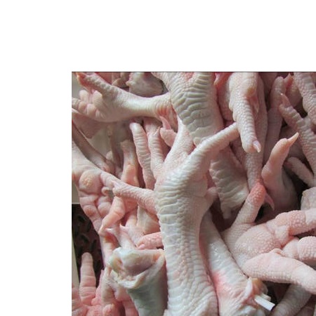 Premium Grade Halal Frozen Chicken Paws / Feet