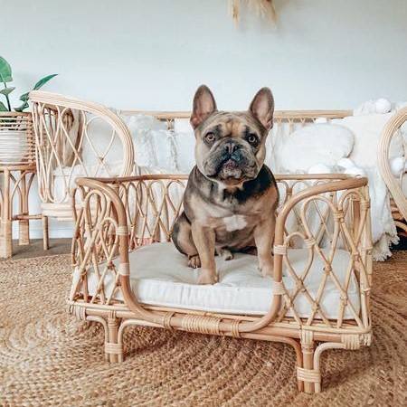 ธรรมชาติ