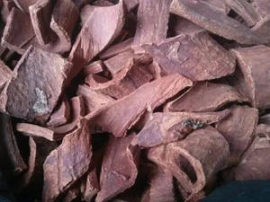 ผง Joss คุณภาพสูง/jigat/Litsea glutinosa จากเวียดนาม/shyn Tran - Product Image 4