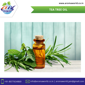 OEM Pure Natural Tea Tree <b>Essential</b> <b>Oil</b> <b>for</b> Skin, Hair, Aromatherapy Bulk Wholesale Antibacterial Deep Cleansing Organic Extract - Product Image 4