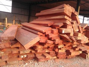 Planeado todos os tamanhos redondos de madeira de <span class=keywords><strong>maple</strong></span> e madeira, madeira de remo vermelho para móveis, grau: a