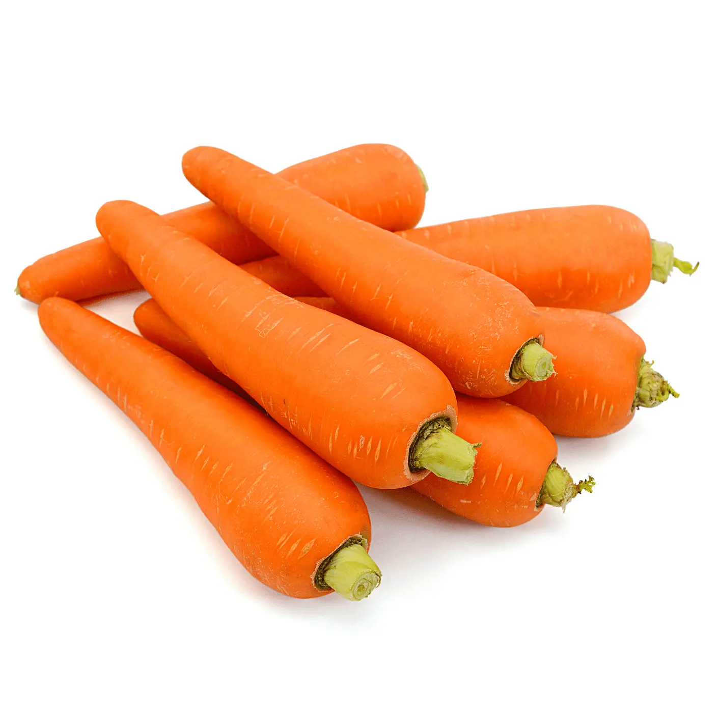 Carota all'ingrosso fresca buona carota economica che esporta in Vietnam/andrea 84 353991115