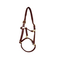 DD - Cabestros Ingleses de Cuero Suave Negro para Montar a Caballo, Hechos a Mano con Hebillas de Latón, Marca LLT, Proveedores y Exportadores de Confianza