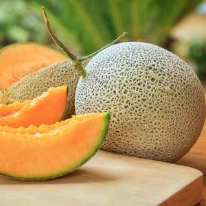 high quality fruit sweet melon