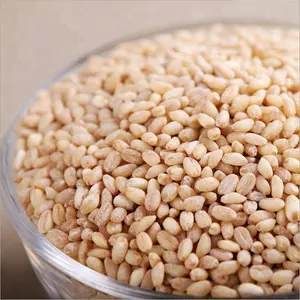 100% organico migliore qualità grano fornitori