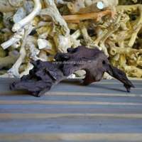Niche pour reptiles antique en bois de rose (bois de Java) massif, motif naturel, écologique, pour usage intérieur et extérieur, cage pour reptiles